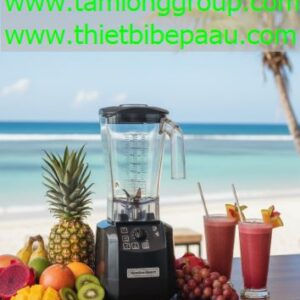 Máy xay sinh tố Hamilton Beach Commercial HBH 650