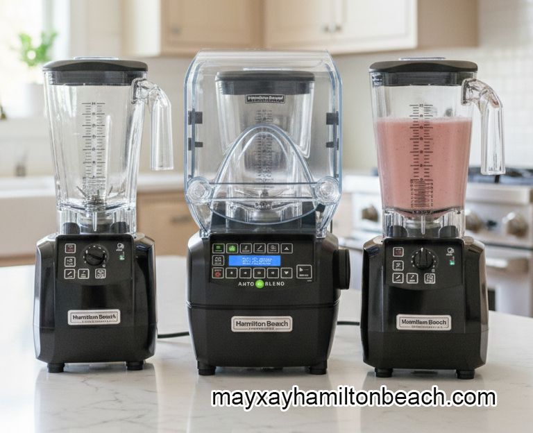 máy xay sinh tố Hamilton Beach tại tphcm - việt nam